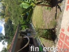 Luz Marina Mesa - Finca em La Pintada, Antioquia